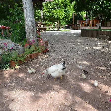 Yakamoz Pansiyon Tatil parkı Olimpos