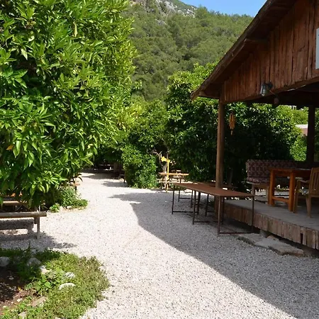 Yakamoz Pansiyon Tatil parkı Olimpos