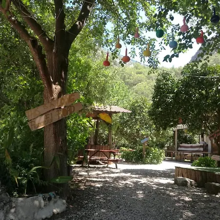 Yakamoz * Olympos